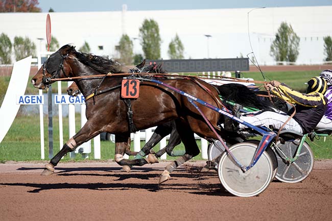 Photo d'arrivée de la course pmu PRIX DE LA VILLE LE PASSAGE à AGEN LE PASSAGE le Mercredi 23 octobre 2024