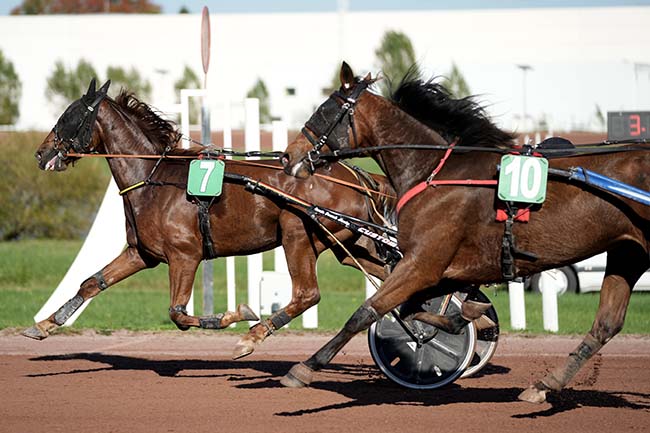Photo d'arrivée de la course pmu PRIX DE TOULOUSE à AGEN LE PASSAGE le Mercredi 23 octobre 2024