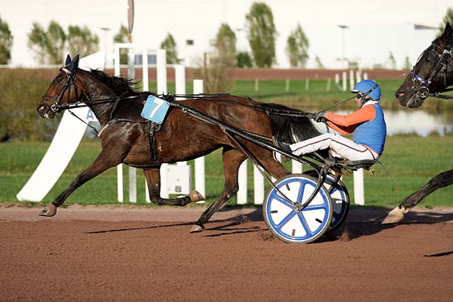 Photo d'arrivée de la course pmu PRIX JEAN DUMOUCH (47EME GRAND PRIX DU SUD-OUEST «PARISTURF») à AGEN LE PASSAGE le Mercredi 23 octobre 2024