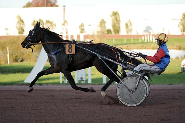 Photo d'arrivée de la course pmu PRIX DE BORDEAUX à AGEN LE PASSAGE le Mercredi 23 octobre 2024