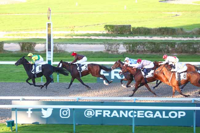 Photo d'arrivée de la course pmu PRIX DU CHATEAU DE CREVECOEUR à DEAUVILLE le Mercredi 23 octobre 2024
