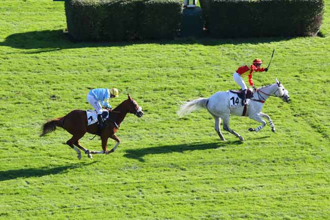 Arrivée quinté pmu PRIX MONTGOMERY à AUTEUIL