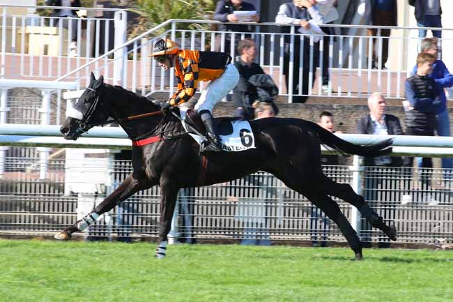Photo d'arrivée de la course pmu PRIX EMILIUS à AUTEUIL le Jeudi 24 octobre 2024