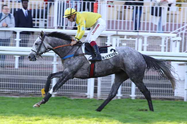 Photo d'arrivée de la course pmu PRIX PELAT à AUTEUIL le Jeudi 24 octobre 2024