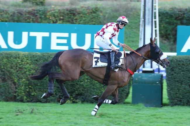 Photo d'arrivée de la course pmu PRIX ROBERT BATES à AUTEUIL le Jeudi 24 octobre 2024