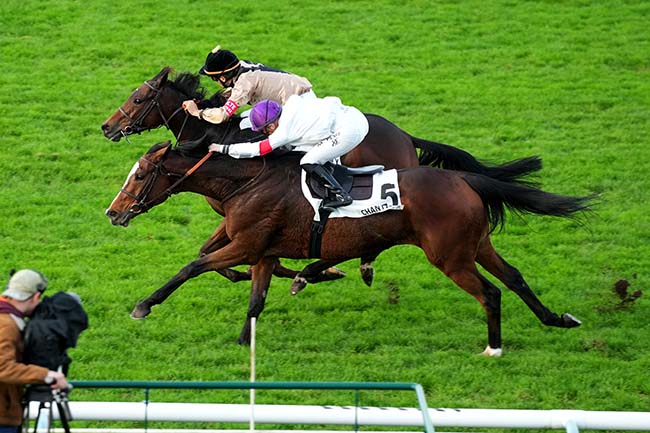Photo d'arrivée de la course pmu PRIX DU BOIS LARIS à CHANTILLY le Samedi 26 octobre 2024