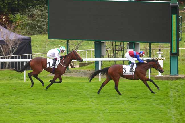 Photo d'arrivée de la course pmu CRITERIUM DE SAINT-CLOUD à SAINT CLOUD le Dimanche 27 octobre 2024