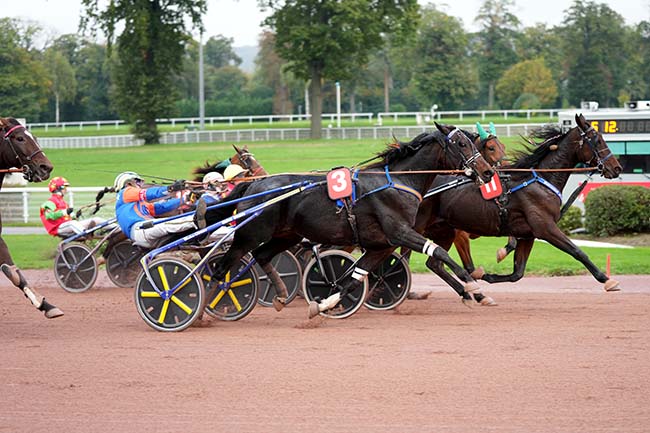 Photo d'arrivée de la course pmu PRIX D'ETAIN à ENGHIEN le Dimanche 27 octobre 2024