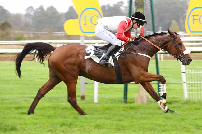 Photo d'arrivée de la course pmu PRIX COLONEL ROBERT LABOUCHE à FONTAINEBLEAU le Lundi 28 octobre 2024