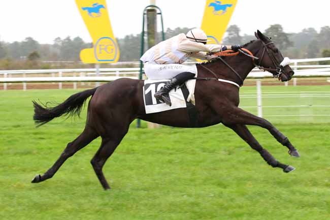 Photo d'arrivée de la course pmu PRIX PATRICE QUENEDEY - PELOTON A à FONTAINEBLEAU le Lundi 28 octobre 2024