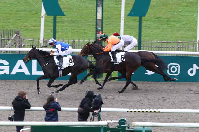 Photo d'arrivée de la course pmu PRIX DE LA CROIX D'ANLEU à CHANTILLY le Mardi 29 octobre 2024