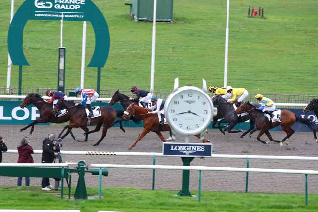 Photo d'arrivée de la course pmu PRIX DE LA ROUTE DES COQUINS à CHANTILLY le Mardi 29 octobre 2024