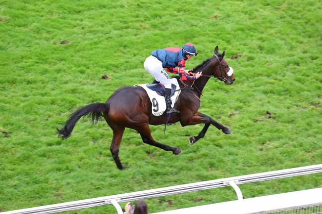 Photo d'arrivée de la course pmu PRIX LUSIGNAN à AUTEUIL le Mercredi 30 octobre 2024