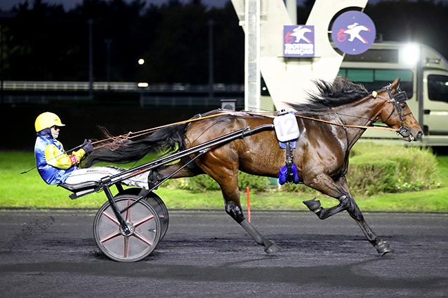 Photo d'arrivée de la course pmu PRIX D'EMBRUN à PARIS-VINCENNES le Mercredi 30 octobre 2024