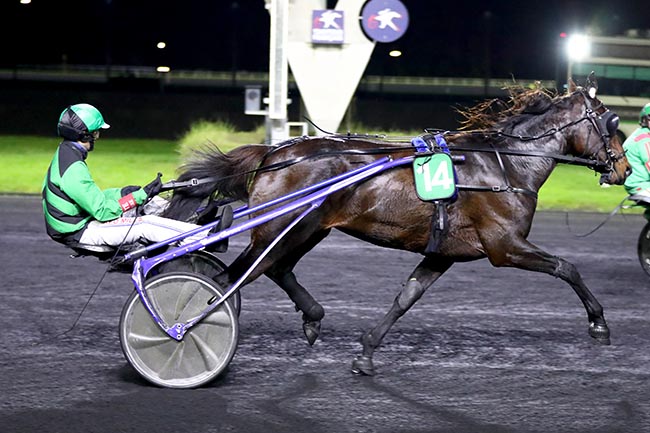 Photo d'arrivée de la course pmu PRIX DE MORLAIX à PARIS-VINCENNES le Mercredi 30 octobre 2024