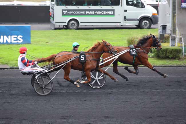 Photo d'arrivée de la course pmu PRIX DES OEILLETS à PARIS-VINCENNES le Jeudi 31 octobre 2024