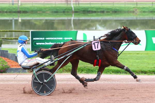 Photo d'arrivée de la course pmu PRIX PRESIDENT PROFESSIONNEL à LAVAL le Vendredi 1 novembre 2024