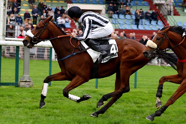 Photo d'arrivée de la course pmu PRIX DE BESANCON à COMPIEGNE le Samedi 2 novembre 2024