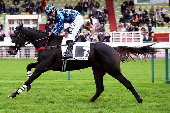 Photo d'arrivée de la course pmu PRIX CERILLY à COMPIEGNE le Samedi 2 novembre 2024