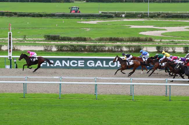 Photo d'arrivée de la course pmu PRIX DE BRAUDIERE à DEAUVILLE le Samedi 2 novembre 2024