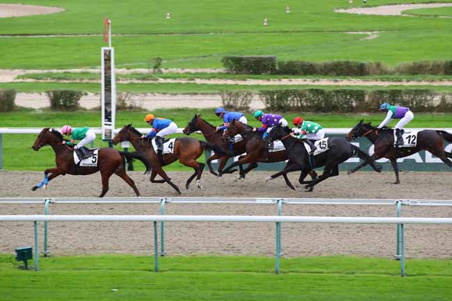 Photo d'arrivée de la course pmu PRIX DE BERD'HUIS à DEAUVILLE le Samedi 2 novembre 2024
