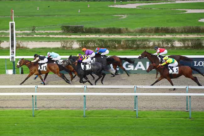 Photo d'arrivée de la course pmu PRIX DE BEAUFAI à DEAUVILLE le Samedi 2 novembre 2024