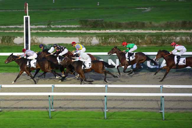 Photo d'arrivée de la course pmu PRIX NONOALCO à DEAUVILLE le Samedi 2 novembre 2024