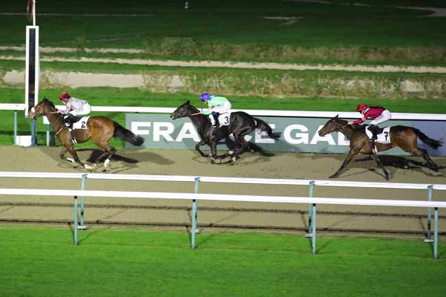 Photo d'arrivée de la course pmu PRIX LA BAMBA à DEAUVILLE le Samedi 2 novembre 2024