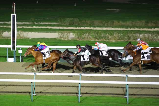 Photo d'arrivée de la course pmu PRIX DU CHATEAU DE TOCQUEVILLE à DEAUVILLE le Samedi 2 novembre 2024