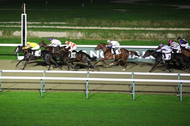 Photo d'arrivée de la course pmu PRIX DU BESSIN à DEAUVILLE le Samedi 2 novembre 2024