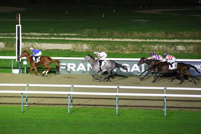 Photo d'arrivée de la course pmu PRIX HABITAT à DEAUVILLE le Samedi 2 novembre 2024