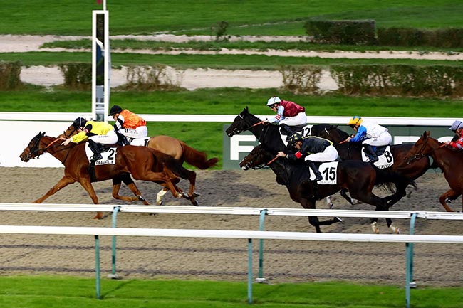 Photo d'arrivée de la course pmu PRIX DU PAYS DE CAUX à DEAUVILLE le Dimanche 3 novembre 2024