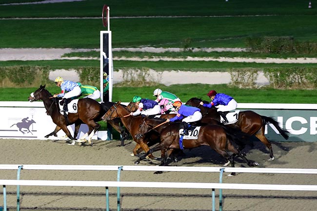 Photo d'arrivée de la course pmu PRIX DU CHENET à DEAUVILLE le Dimanche 3 novembre 2024