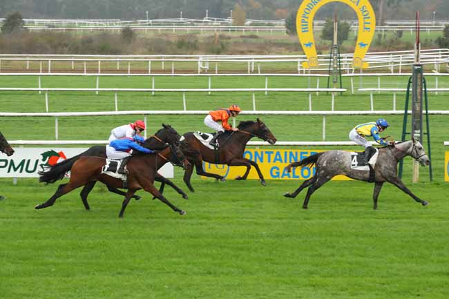 Photo d'arrivée de la course pmu PRIX DES PINS NOIRS à FONTAINEBLEAU le Lundi 4 novembre 2024