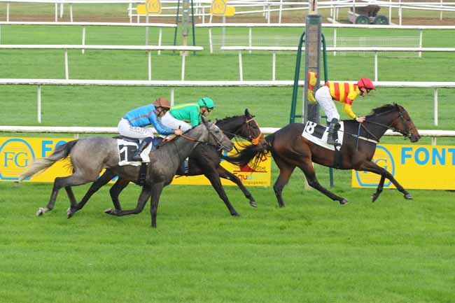 Photo d'arrivée de la course pmu PRIX DES BOSQUETS à FONTAINEBLEAU le Lundi 4 novembre 2024