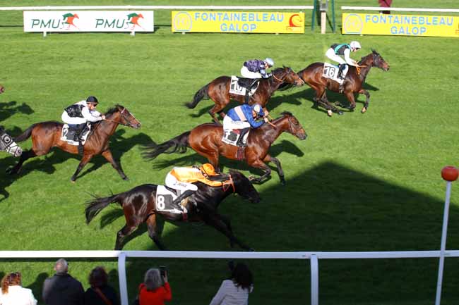 Arrivée quinté pmu PRIX ROLAND FOUGEDOIRE à FONTAINEBLEAU