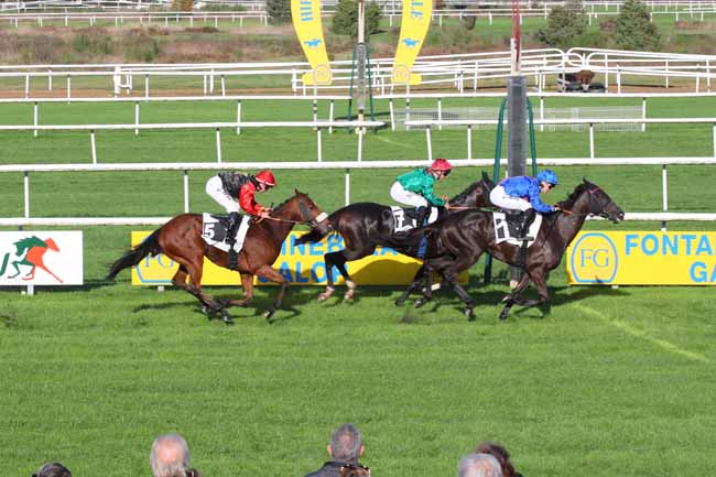 Photo d'arrivée de la course pmu PRIX DES FRENES à FONTAINEBLEAU le Lundi 4 novembre 2024