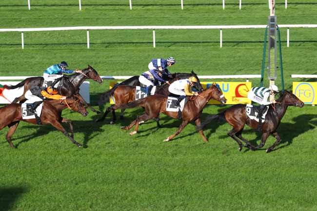 Photo d'arrivée de la course pmu PRIX DU CENTRE D'ECOTOURISME DE FRANCHARD à FONTAINEBLEAU le Lundi 4 novembre 2024
