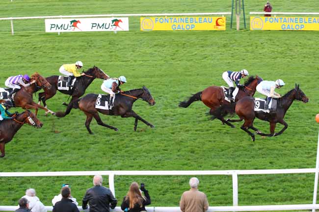 Photo d'arrivée de la course pmu PRIX DES ERABLES à FONTAINEBLEAU le Lundi 4 novembre 2024