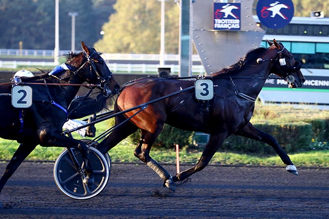 Photo d'arrivée de la course pmu PRIX DE BIDART à PARIS-VINCENNES le Lundi 4 novembre 2024