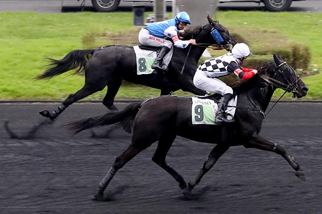 Photo d'arrivée de la course pmu PRIX DE CARPENTRAS à PARIS-VINCENNES le Mardi 5 novembre 2024