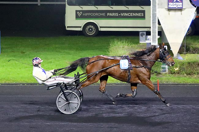 Photo d'arrivée de la course pmu PRIX DE VIENNE à PARIS-VINCENNES le Mardi 5 novembre 2024