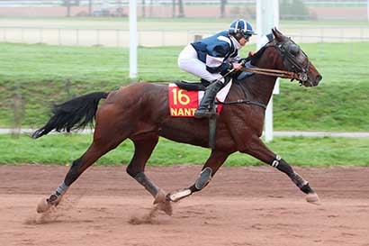 Photo d'arrivée de la course pmu PRIX ONIRIS à NANTES le Mercredi 6 novembre 2024