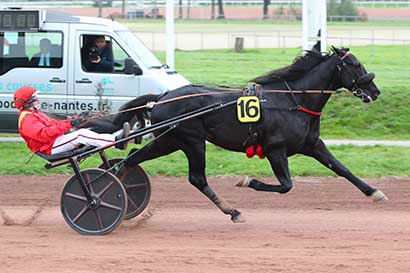 Photo d'arrivée de la course pmu PRIX PMU 
