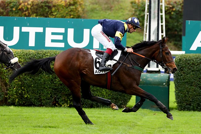 Photo d'arrivée de la course pmu PRIX ELSENEUR à AUTEUIL le Mercredi 6 novembre 2024