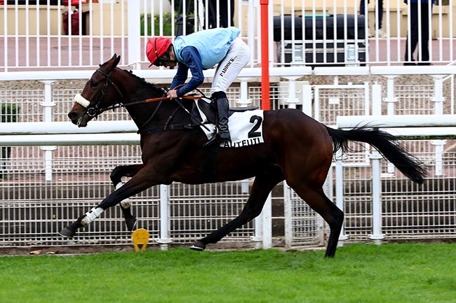 Photo d'arrivée de la course pmu PRIX PRE CATELAN à AUTEUIL le Mercredi 6 novembre 2024