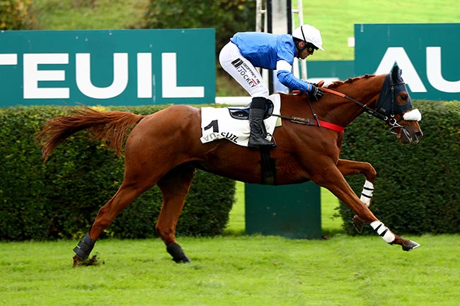 Photo d'arrivée de la course pmu PRIX TRIQUERVILLE à AUTEUIL le Mercredi 6 novembre 2024