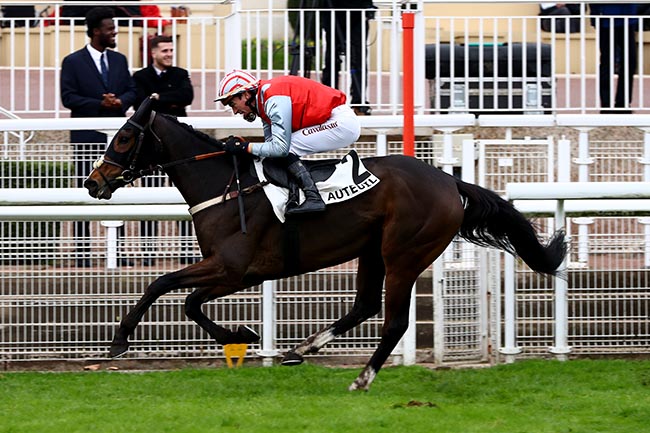 Photo d'arrivée de la course pmu PRIX LEOPOLD BARA à AUTEUIL le Mercredi 6 novembre 2024