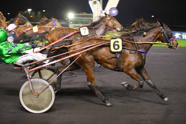 Photo d'arrivée de la course pmu PRIX SOPHIA à PARIS-VINCENNES le Vendredi 8 novembre 2024