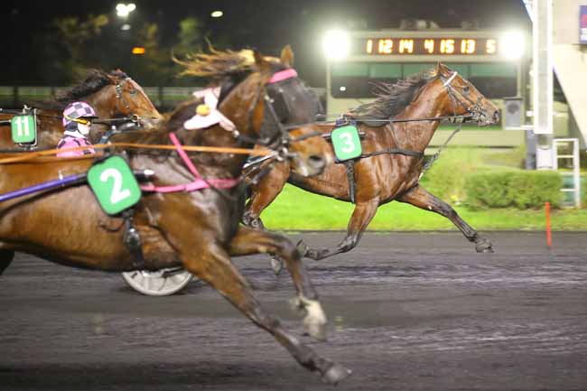 Photo d'arrivée de la course pmu PRIX PERSEPHONE à PARIS-VINCENNES le Vendredi 8 novembre 2024